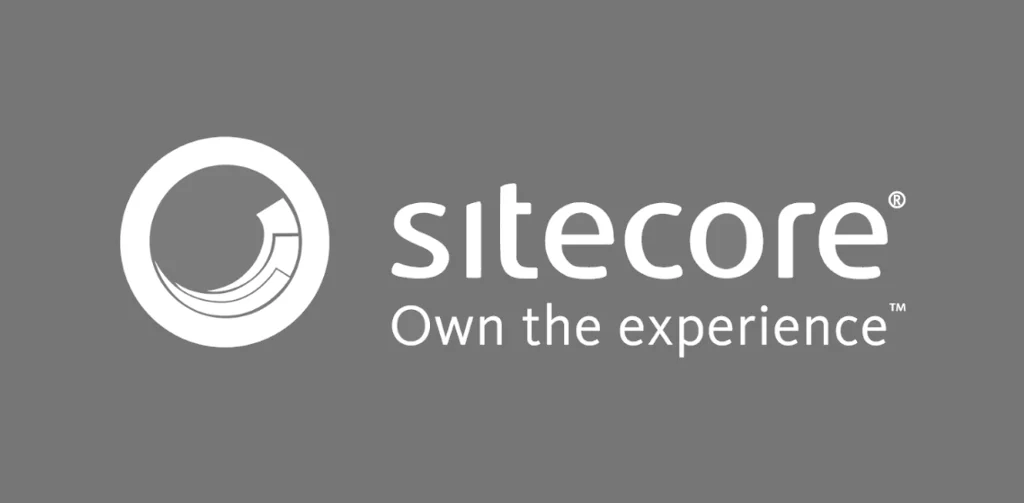 Rozwój edukacyjnej strony internetowej w języku holenderskim