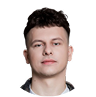 Vadim Birkas